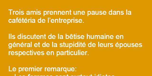 Trois amis discutent de la stupidité de leurs épouses