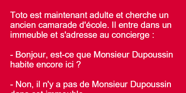 Toto cherche un ancien camarade