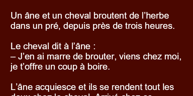 Un ane et un cheval broutent