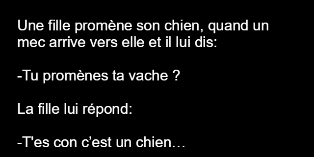 Une fille promène son chien