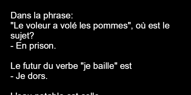 Les perles des éleves