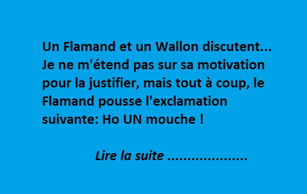 Un Flamand et un Wallon discutent…