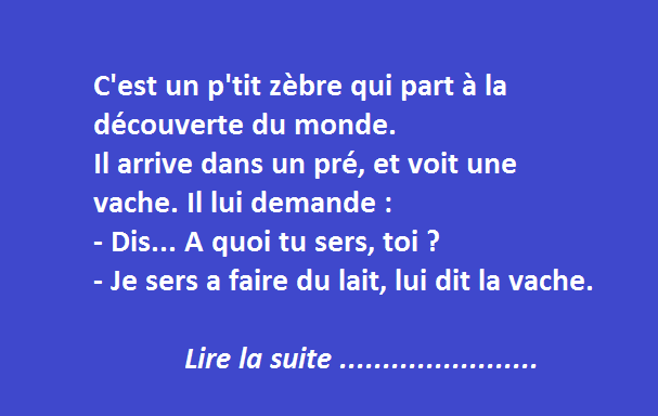 Le petit zébre qui découvre le monde