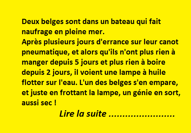 Les deux Belges naufragés et le Génie