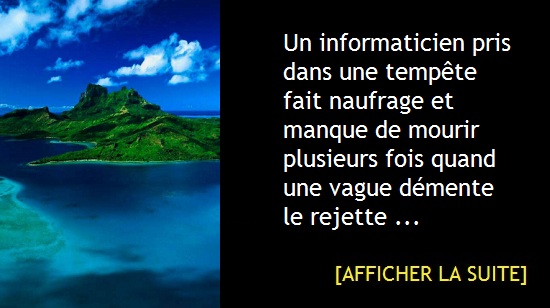 L&rsquo;informaticien naufragé