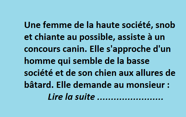 La femme de la haute au concours canin