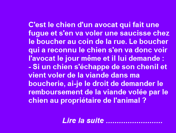 Le vol du chien de l&rsquo;avocat