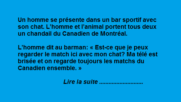 L&rsquo;homme et son chat au bar sportif