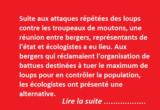 Des verts et des loups