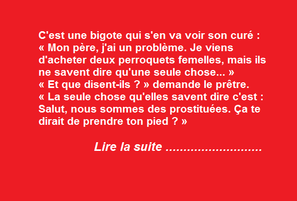 La bigote, le curé et les perroquets